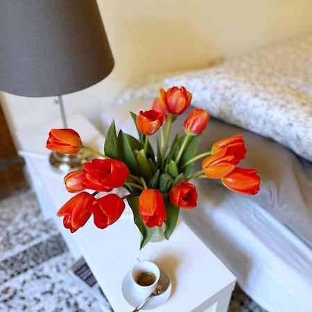 Il Canto De' Cenci Apartment Αρέτσο Εξωτερικό φωτογραφία