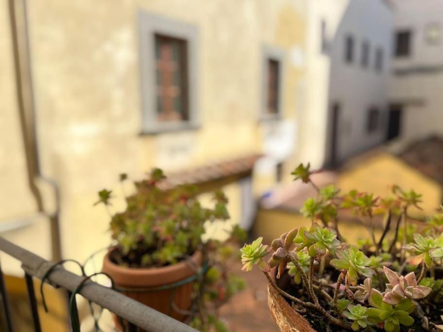Il Canto De' Cenci Apartment Αρέτσο Εξωτερικό φωτογραφία